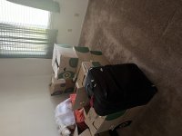 IMG_3084.jpeg