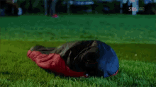1753679462070.gif