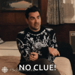 who-knows-david-rose.gif