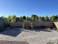 IMG_3122.jpeg