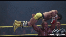 IMG_3125.gif