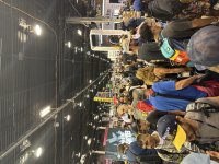 IMG_9445.jpeg