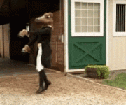 IMG_3133.gif