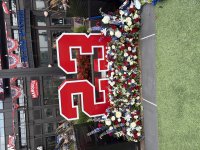 IMG_9465.jpeg