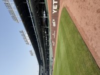 IMG_9486.jpeg
