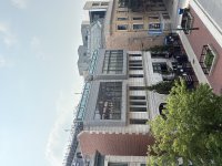 IMG_9504.jpeg