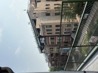 IMG_9503.jpeg