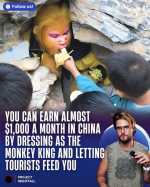 1753981036590.png