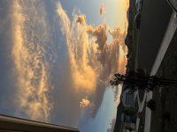 IMG_3136.jpeg
