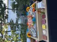 IMG_2123.jpeg