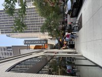 IMG_9688.jpeg