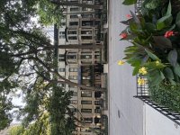 IMG_9686.jpeg