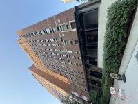 IMG_9684.jpeg