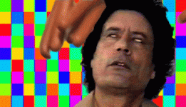IMG_3146.gif