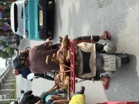 IMG_7483.jpeg