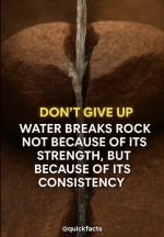 1754336909677.png