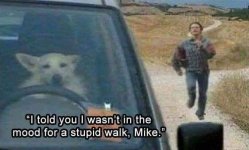 FB_IMG_1754344017169.jpg