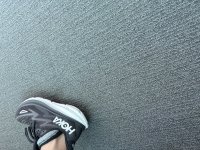 IMG_9987.jpeg