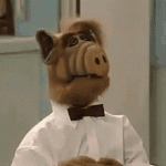 1754688806556.gif