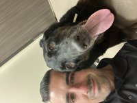 IMG_8875.jpeg