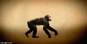 1754913587574.gif