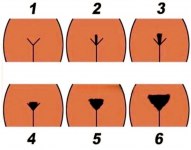1754927318603.png