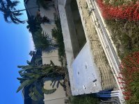 IMG_3592.jpeg