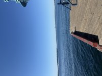 IMG_2389.jpeg