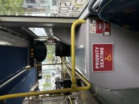 IMG_2420.jpeg