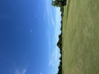 IMG_3600.jpeg