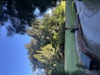 IMG_3602.jpeg