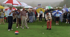 1755304299668.gif