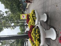 IMG_0775.jpeg