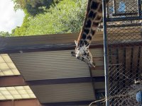 IMG_2423.jpeg