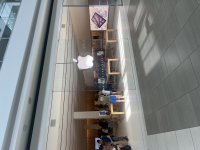 IMG_7910.jpeg