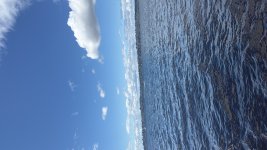 8BE807EF-B7C4-4120-B19E-56B51F76BC2B.jpeg
