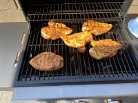 IMG_3337.jpeg