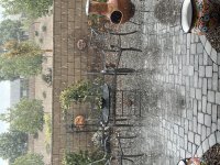 IMG_3312.jpeg