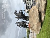 TC_00146.jpeg
