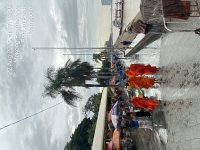 TC_00161.jpeg