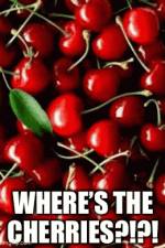 IMG_3430.gif