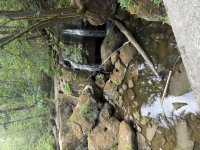 IMG_2415.jpeg