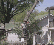 1755954110889.gif