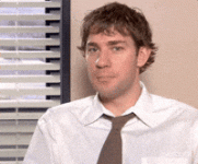 1755991981592.gif