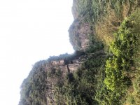 34B5B679-BC1F-4374-926C-038A43353DF1.jpeg