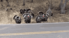 1669224399807.gif