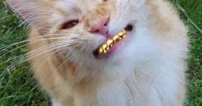 1670882125256.png
