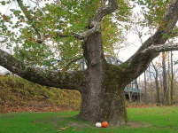 1671216035825.png