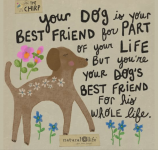1756218024570.png