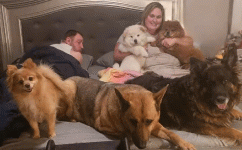 1756226336092.gif